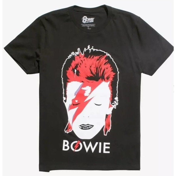 Fruit of the Loom Other - BOWIE Ziggy Cult face T shirt Fruit Of The Loom Cotton Black L Tee